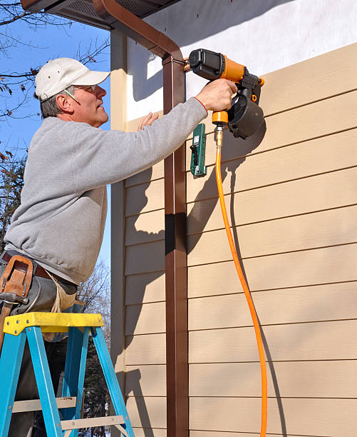 Best Historical Building Siding Restoration  in Albion, NE