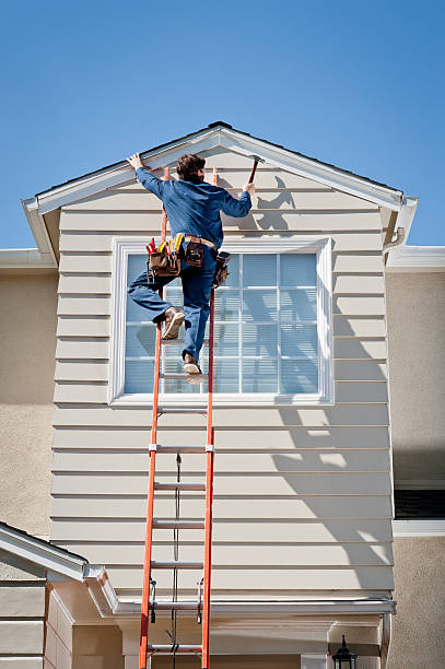 Best Vinyl Siding Installation  in Albion, NE